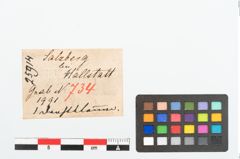 Etikett zu Bronzeklammer (NHMW-PRAE-025914)